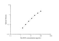 Uncoated Rat REN ( Renin ) ELISA Kit – Figure 1 of 4