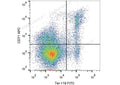 APC Anti-Mouse CD71 Antibody[R17 217.1.3/TIB-219] – Figure 1 of 2