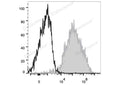 PE/Cyanine7 Anti-Mouse F4/80 Antibody[CI:A3-1] – Figure 1 of 2