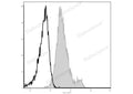 Elab Fluor® 488 Anti-Mouse CD1d Antibody[19G11] – Figure 3 of 5