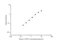 Mouse CASP3 (Caspase 3) ELISA Kit – Figure 1 of 3