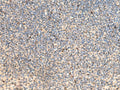 PTH1R Polyclonal Antibody – Figure 1 of 3