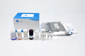 Human HSF1 (Heat shock factor protein 1) QuickTest ELISA Kit