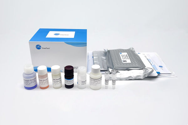 Human HSF1 (Heat shock factor protein 1) QuickTest ELISA Kit
