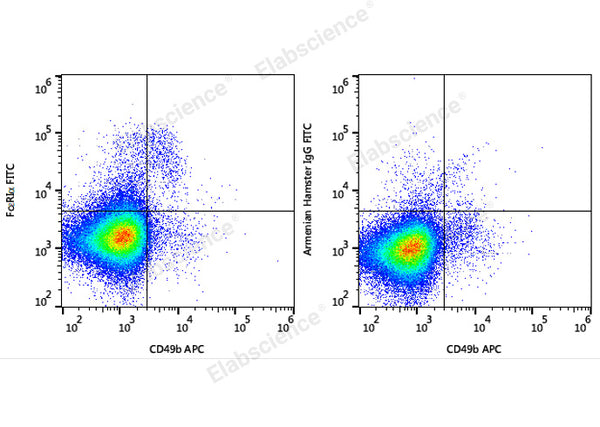 FITC Anti-Mouse FcεRIα Antibody[MAR-1] – Figure 1 of 3
