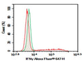 Purified Anti-Mouse IFN-γ Antibody[XMG1.2] – Figure 1 of 2