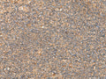 DNAJC14 Polyclonal Antibody – Figure 1 of 2