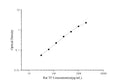 Rat TF (Tissue Factor) ELISA Kit – Figure 1 of 3