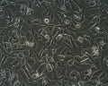 RCC-GS cell