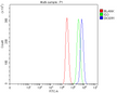 Anti-Dicer/DICER1 Antibody Picoband®