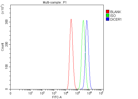 Anti-Dicer/DICER1 Antibody Picoband®