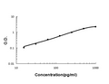 Sandwich ELISA - Recombinant rat IL13 protein standard curve.

Use in combination with reagents from Rat IL13 ELISA Kit EZ-Set (DIY Antibody Pairs) (EZ0900).