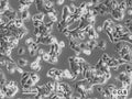 RT-112-D21 cell