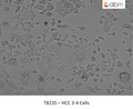 HCC 3-4 Cells | Applied Biological Materials (abm)