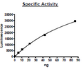 ATP Citrate Lyase, GST-tag Recombinant – Figure 1 of 2