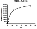 UCHL1 (PGP9.5), His-tag Recombinant – Figure 1 of 2