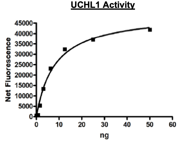 UCHL1 (PGP9.5), His-tag Recombinant – Figure 1 of 2