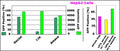 GenJet™ In Vitro DNA Transfection Reagent for HepG2 Cells – HepG2 GFP transfection vs L2K and Amaxa®; serum/antibiotic effect