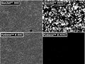 GenJet™ In Vitro DNA Transfection Reagent – 14 kb GFP-tagged DNA transfection in HEK293 cells vs FuGene™ 6