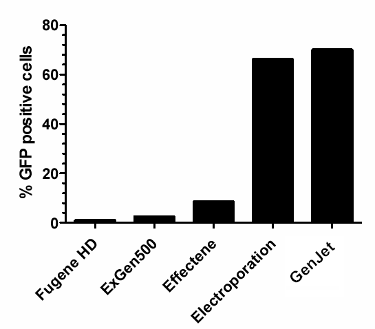 GenJet™ In Vitro DNA Transfection Reagent for Epithelial Cells – colonic epithelial cell GFP transfection vs other reagents