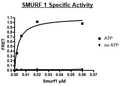 SMURF1, FLAG-tag Recombinant – Figure 1 of 2