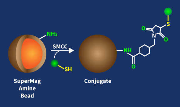 SuperMag Amine Beads Conjugation Kit – Figure 1 of 1