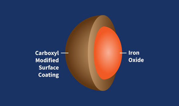 SuperMag Carboxyl Beads