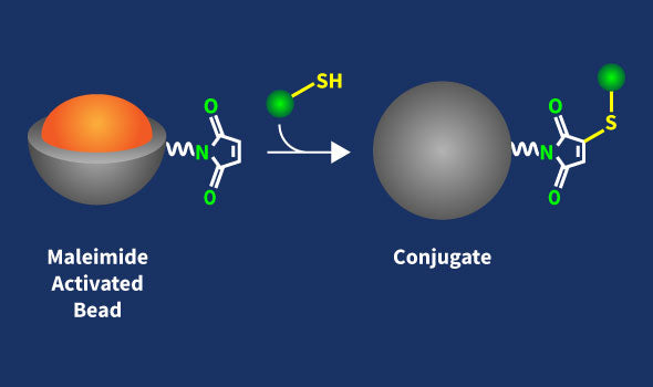 SuperMag Maleimide Beads Conjugation Kit – Figure 1 of 1