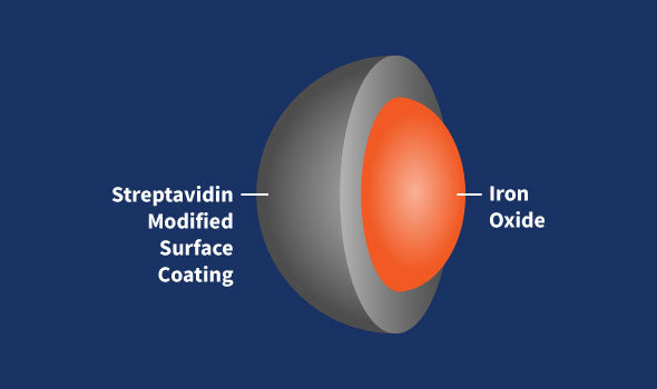SuperMag Streptavidin Beads