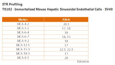 Immortalized Mouse Hepatic Sinusoidal Endothelial Cells - SV40 | Applied Biological Materials (abm)