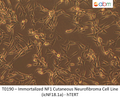 Immortalized NF1 Cutaneous Neurofibroma Cell Line (icNF18.1a) - hTERT | Applied Biological Materials (abm)