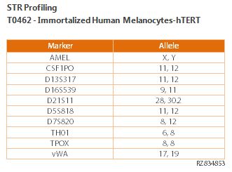 Immortalized Human Melanocytes - hTERT | Applied Biological Materials (abm)