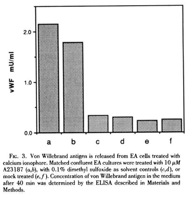 Immortalized Human Vascular Endothelial Cells (EA.hy926) | Applied Biological Materials (abm)