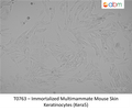 Immortalized Multimammate Mouse Skin Keratinocytes (Kera5) – Figure 1 of 1