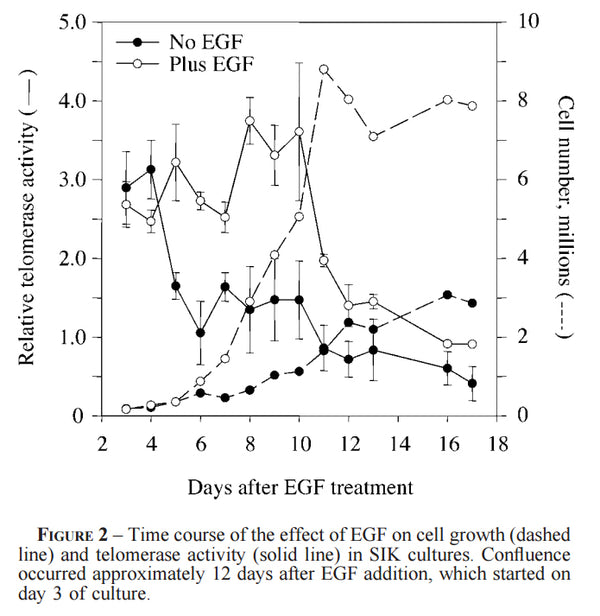 Immortalized Human Epidermal Keratinocytes (SIK) | Applied Biological Materials (abm)