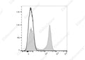 APC Anti-Mouse CD22 Antibody[Cy34.1] – Figure 1 of 2