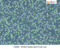 NTRK3 Stable Ba/F3 Cell Line | Applied Biological Materials (abm)