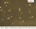 BRCA1 L1780P Mutant Stable HCC1395 TNBC Cell Line | Applied Biological Materials (abm)