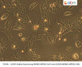 U2OS Stably Expressing NONO-APEX2 Cell Line (U2OS:NONO-APEX2-HA) | Applied Biological Materials (abm)