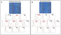 Human Endometrial Somatic Stem Cells (Epithelial Fraction hESP-ICEp) | Applied Biological Materials (abm)