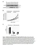 Stable PATZ1 Expressing FRTL5 Cell Line - FR-PA33 | Applied Biological Materials (abm)