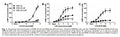 ACΔ3/6 Stable Knockout HEK293 Cell Line | Applied Biological Materials (abm)