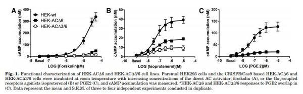 ACΔ3/6 Stable Knockout HEK293 Cell Line | Applied Biological Materials (abm)