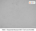 Flavopiridol-Resistant MCF-7 Cell Line (FLV1000) | Applied Biological Materials (abm)