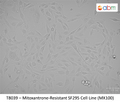 Mitoxantrone-Resistant SF295 Cell Line (MX100) | Applied Biological Materials (abm)
