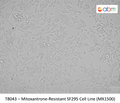 Mitoxantrone-Resistant SF295 Cell Line (MX1500) | Applied Biological Materials (abm)