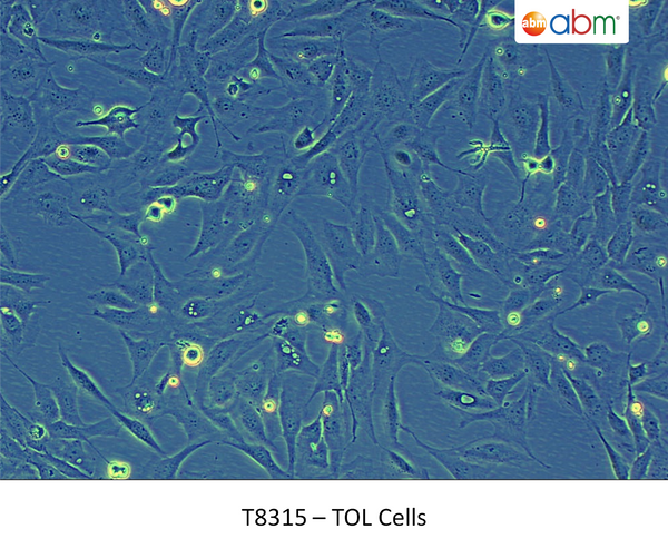 TOL Cells | Applied Biological Materials (abm)