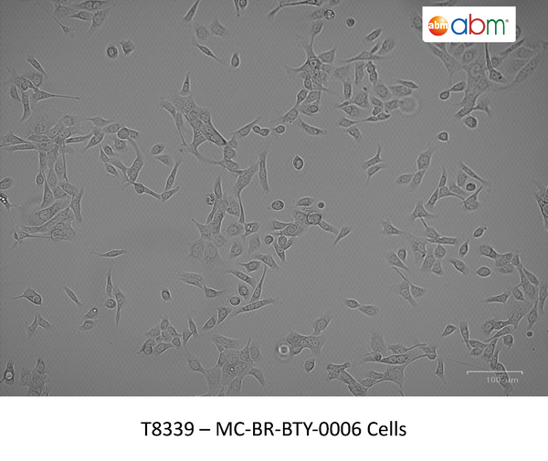MC-BR-BTY-0006 Cells | Applied Biological Materials (abm)