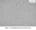 CCL2 CRISPR Knockout CT26 Stable Cell Line | Applied Biological Materials (abm)