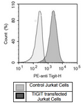 FluoSite™ Anti-TIGIT Antibody, PE-Labeled – Figure 1 of 3